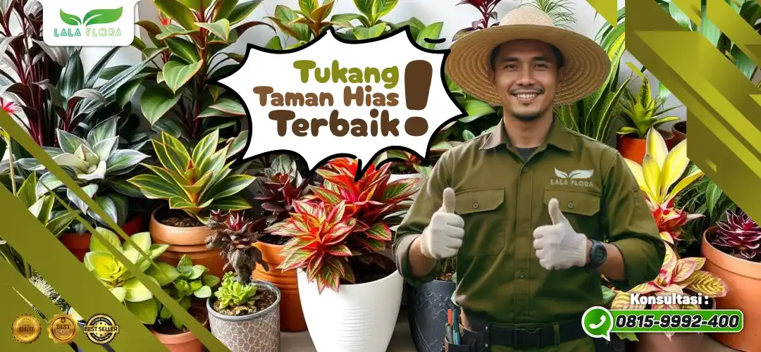 Jasa Hias Taman Terbaik