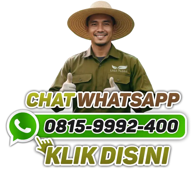 Kontak Jasa Taman dan Aquascape Jakarta