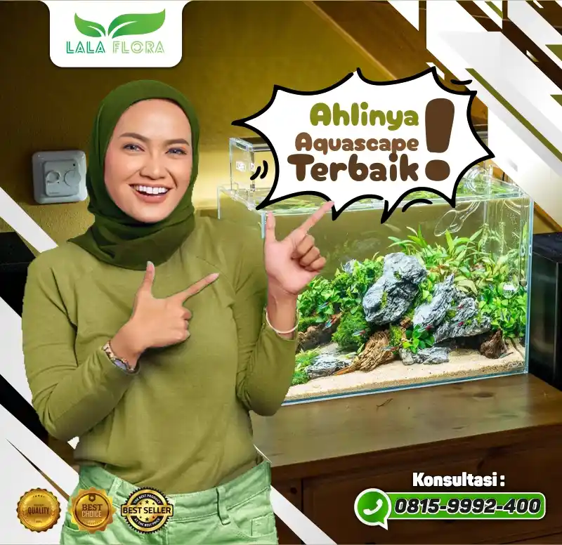 LALAFLORA Aquascape design & build professional