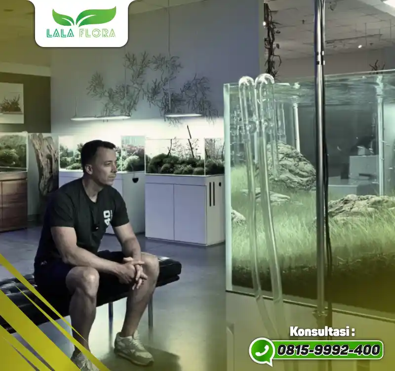 Maka apa yang Anda rasakan Saat Segalanya Menjadi Tenang