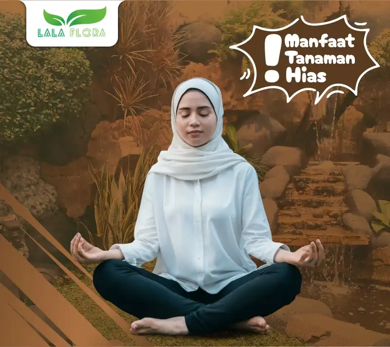 Manfaat Taman Hias Bagi Kesehatan Tubuh Dan Ketenangan Pikiran