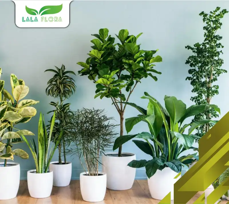 Pot Serasi Tanaman Hias