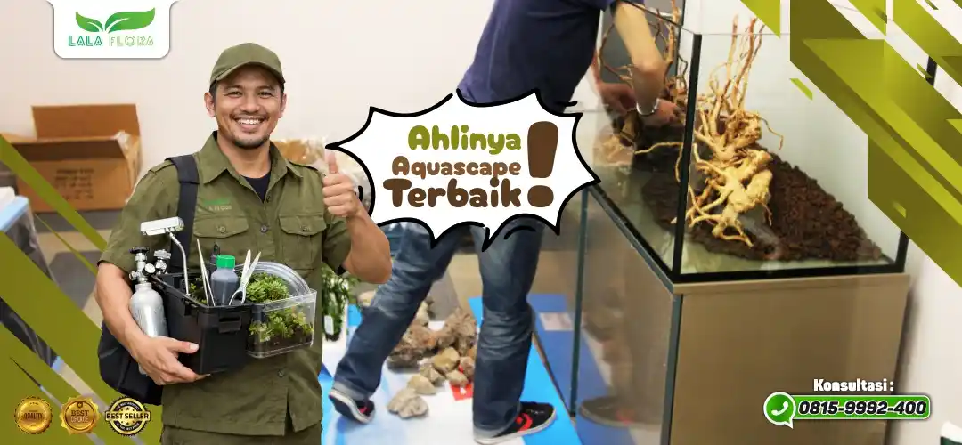 Proses Pengerjaan Aquascape